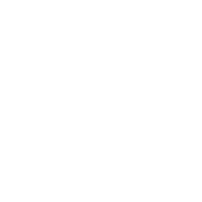 Psychedelicz Logo